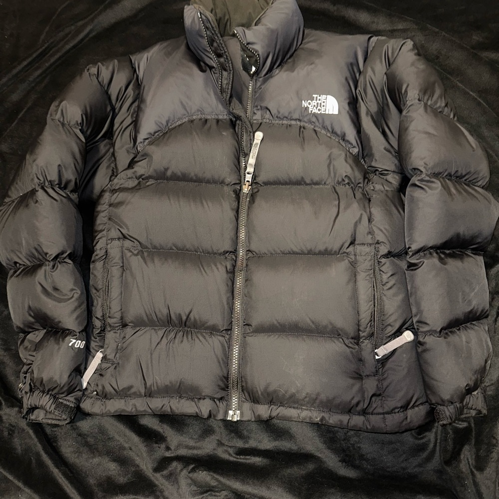 The North Face 700 Black Puffer Jacket